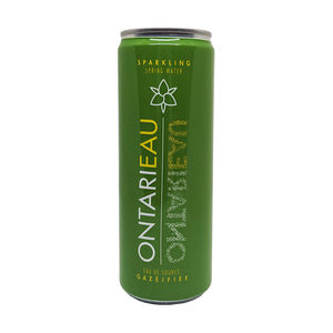 Sparkling Natural Spring Water -- 355ml x 24 can case